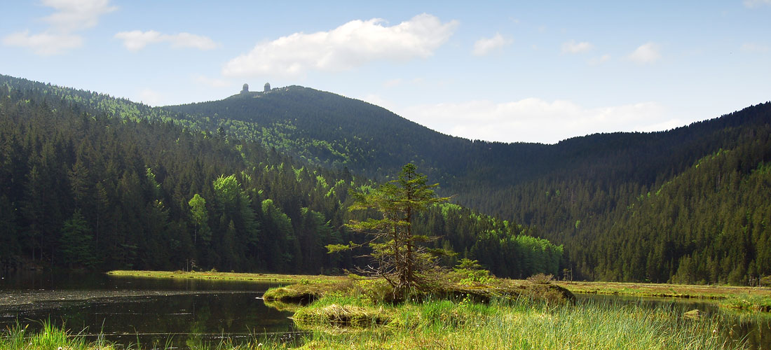Erholsamer Urlaub, Bayerischer Wald